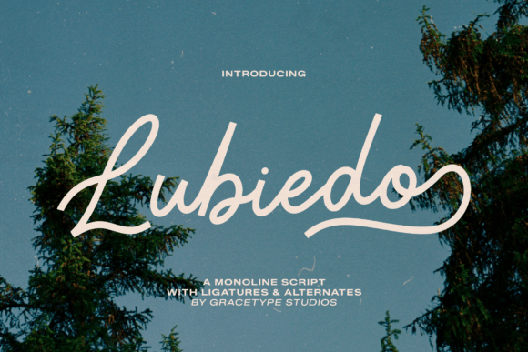 The Fluid Elegance of Lubiedo: A Script Font for Authentic Brands